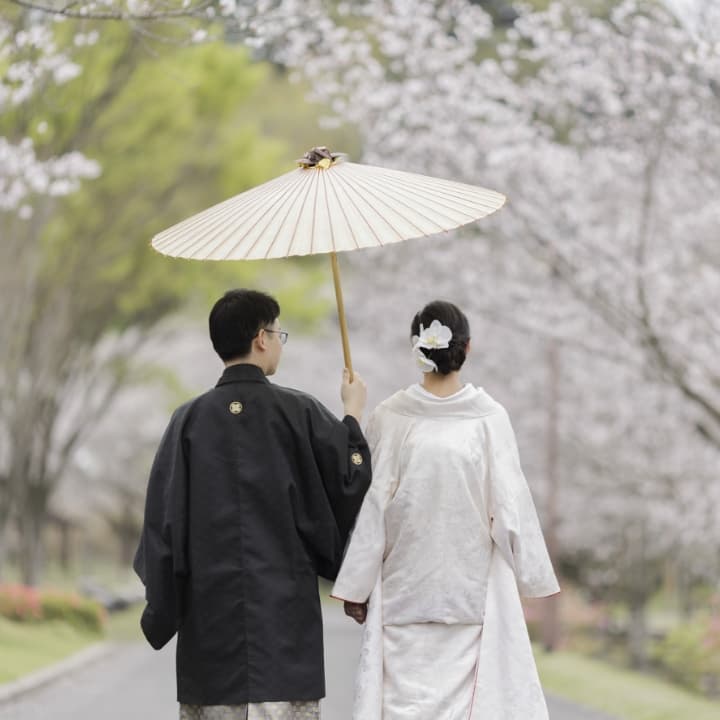 コレクションのイメージ3