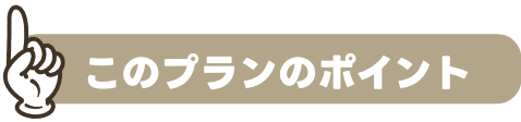 このプランのポイント